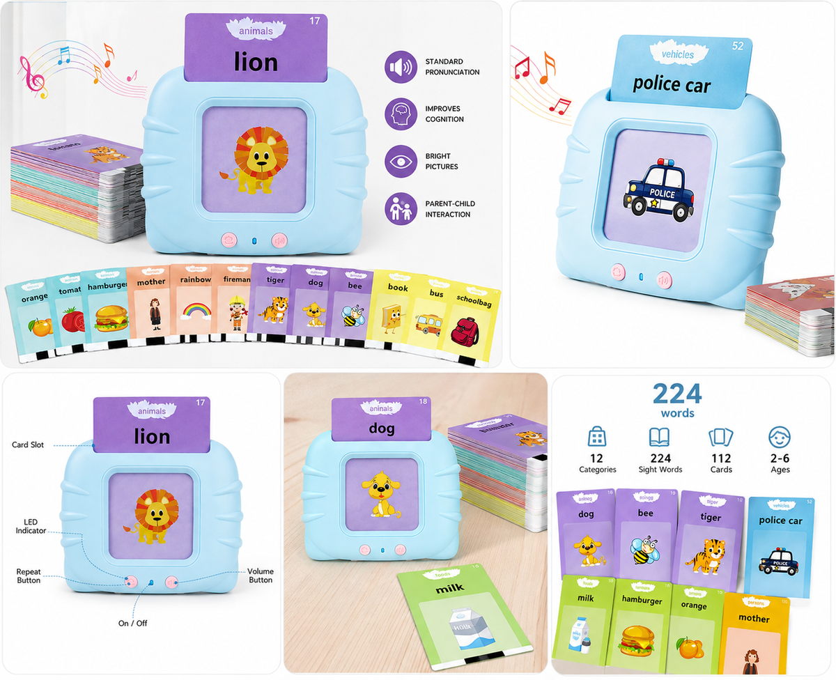 Rechargeable Flash card Reader Toddler Toy